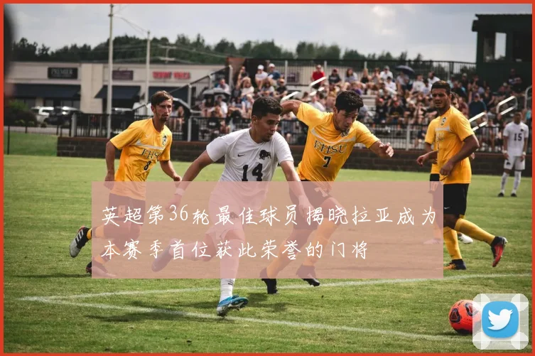 英超第36轮最佳球员揭晓拉亚成为本赛季首位获此荣誉的门将
